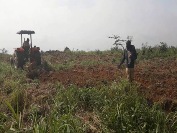 Our Farm Activities 1