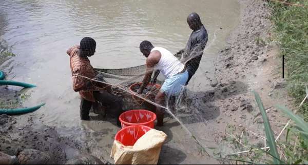 Our Farm Activities 2