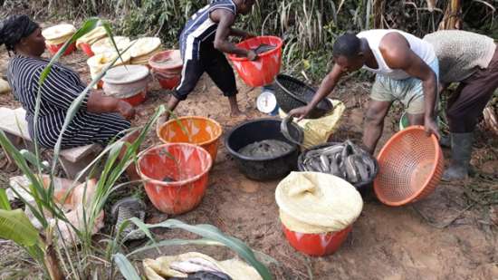 Our Farm Activities 3